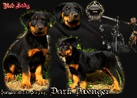 CHIOT