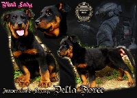 CHIOT