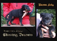 Imperator's Legacy Chasing Dreams